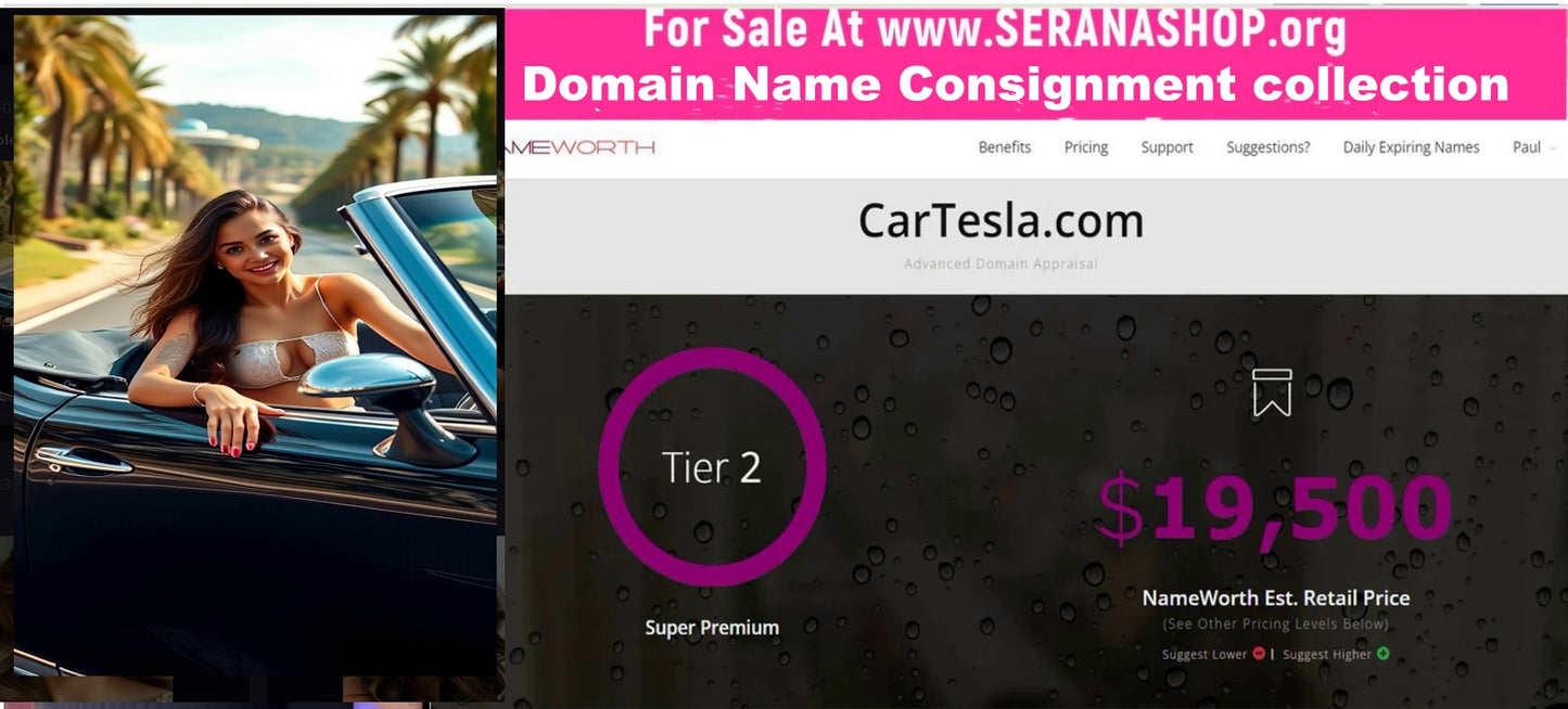 For Sale in the Domain Name Consignment collection - Cartesla.com $11,495