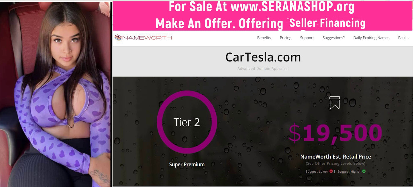 Cartesla.com $11,495 OBO /Offering Seller Financing - The Cat and Cock Shop