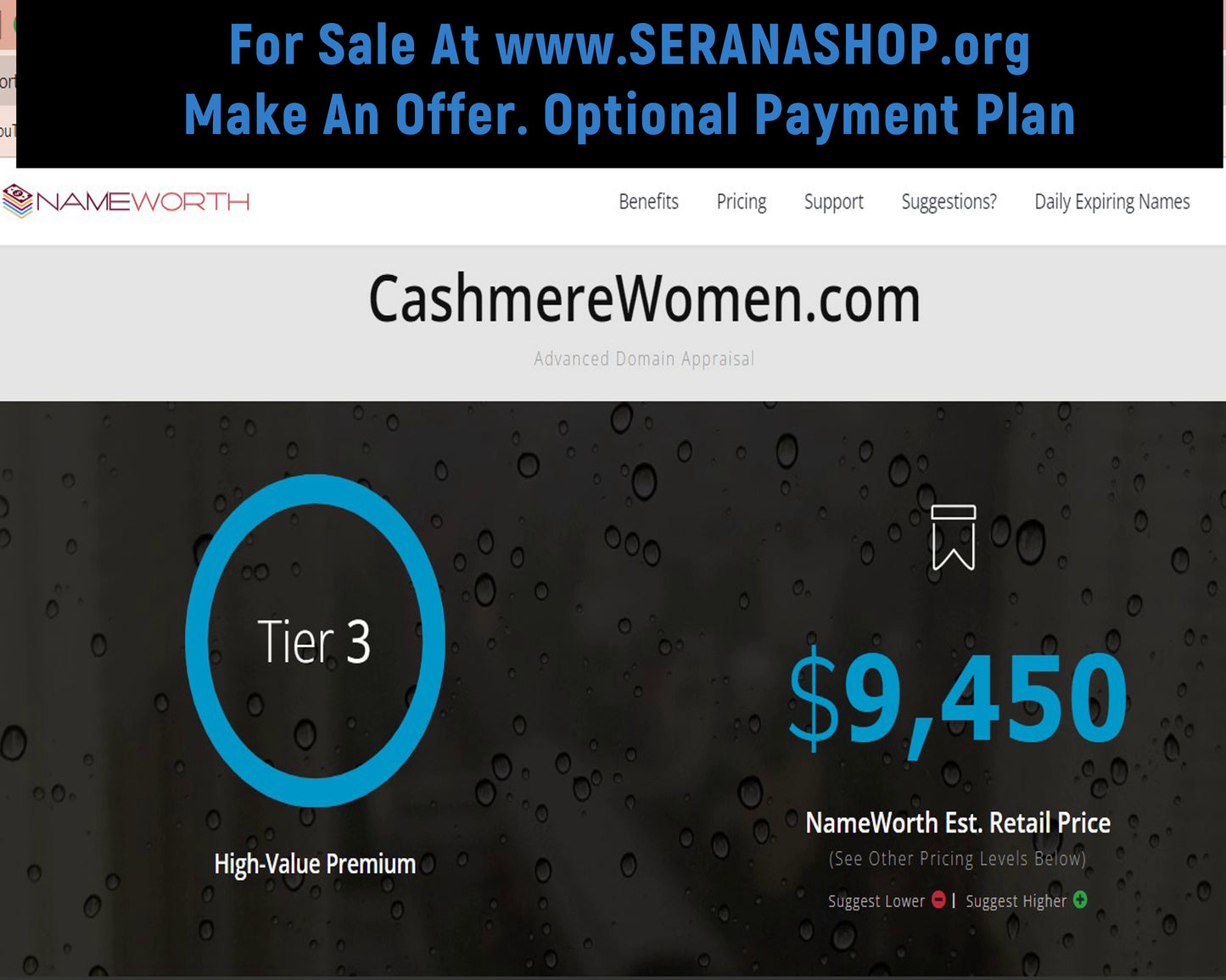 CashmereWomen.com $9,450 OBO/Offering Seller Financing - The Cat and Cock Shop