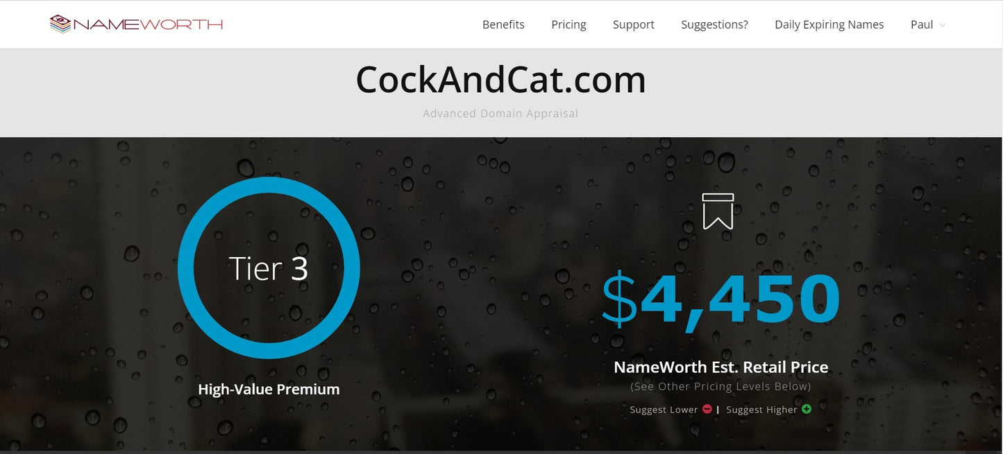 For Sale in the Domain Name Consignment collection- CockandCat.com Valued at $4,450 asking $2,395