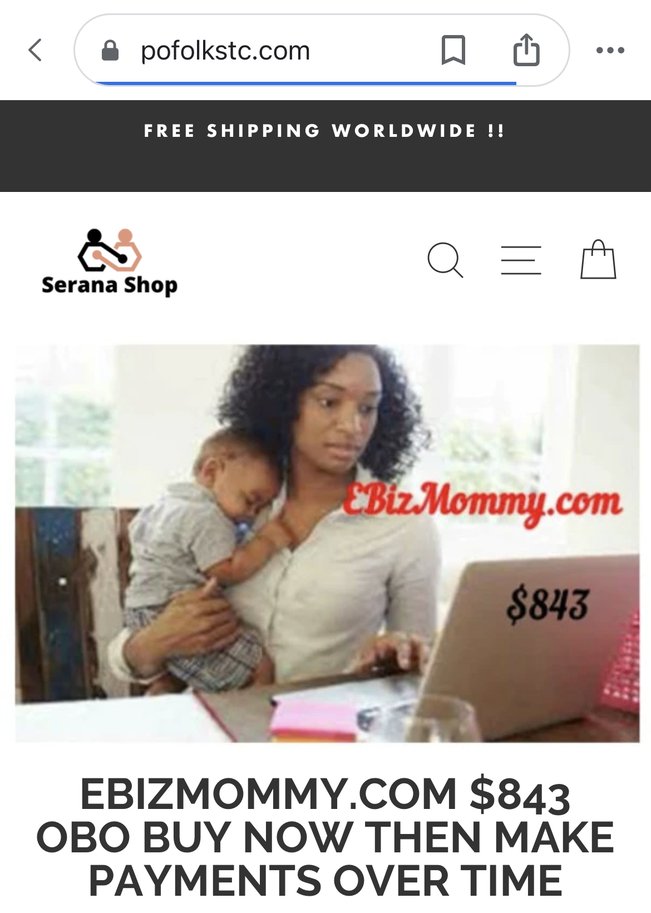 EBIZMOMMY.COM $843 Domain Name Consignment collection