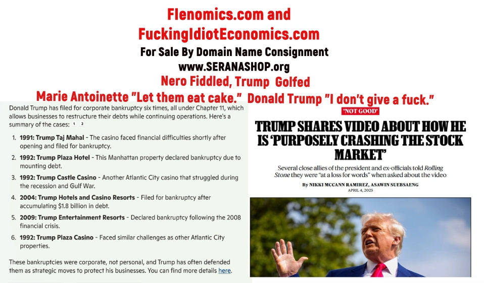 FIenomics.com and FuckingIdiotEconomics.com $4175 or Best Offer For Both - Domain Name Consignment