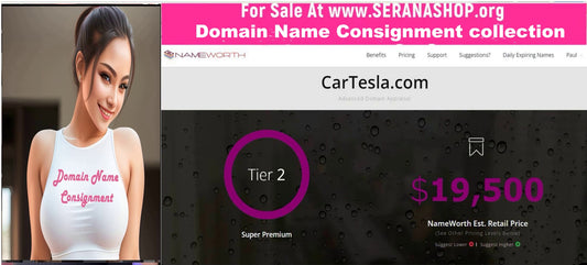 For Sale in the Domain Name Consignment collection  - Cartesla.com  $11,495