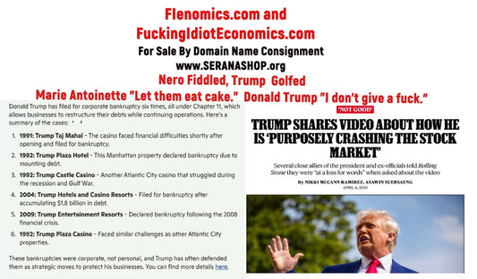 FIenomics.com and FuckingIdiotEconomics.com $4175 or Best Offer For Both - Domain Name Consignment