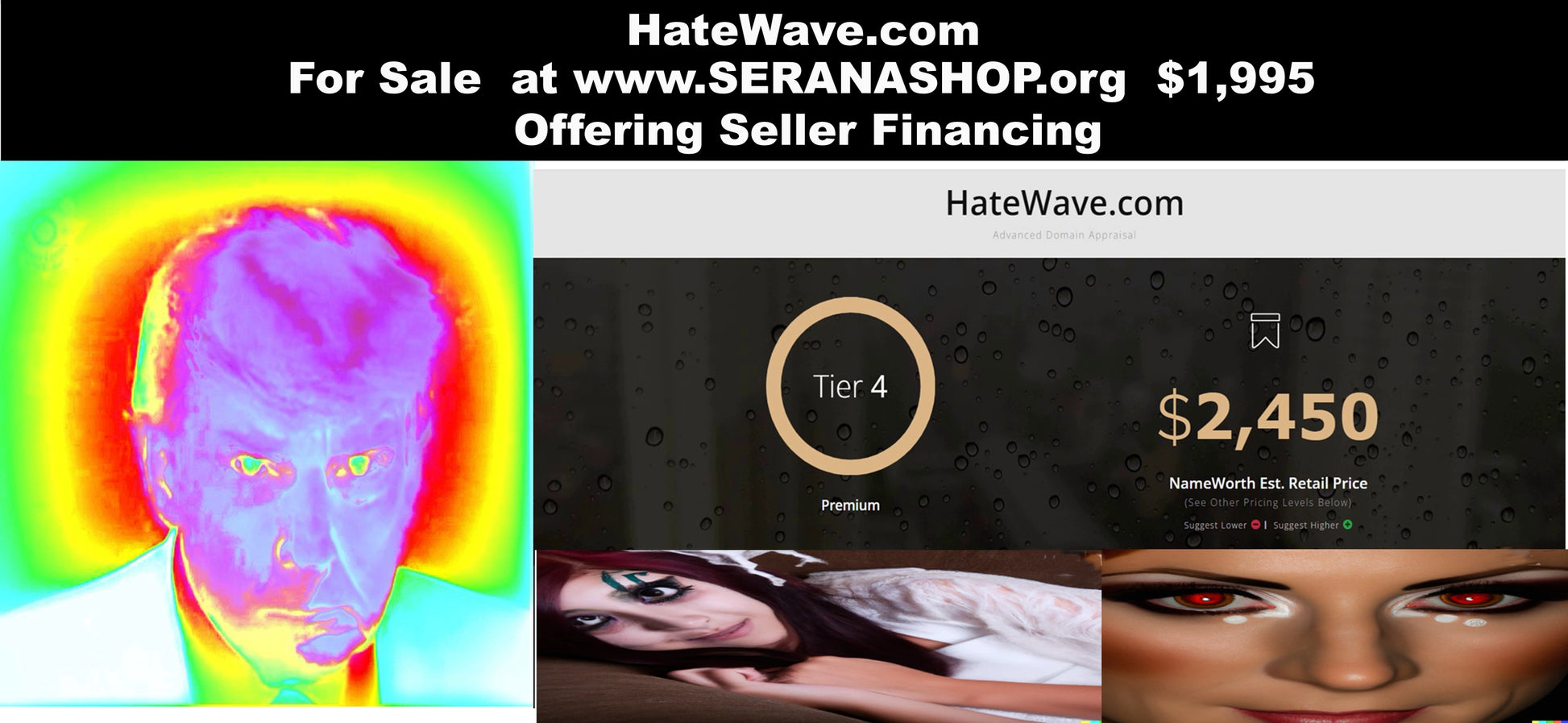 HateWave.com $1,995 OBO/ Offering Seller Financing - The Cat and Cock Shop